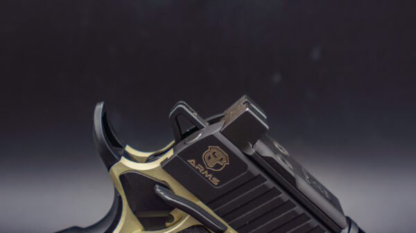 GP ARMS - FORZA 3.1 - SEMI-CUSTOM - Image 13